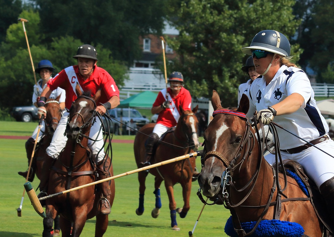 Polo